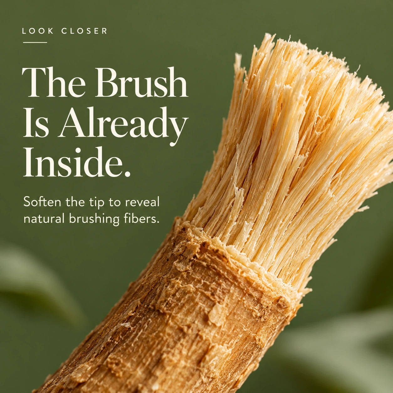 The brush is already inside.