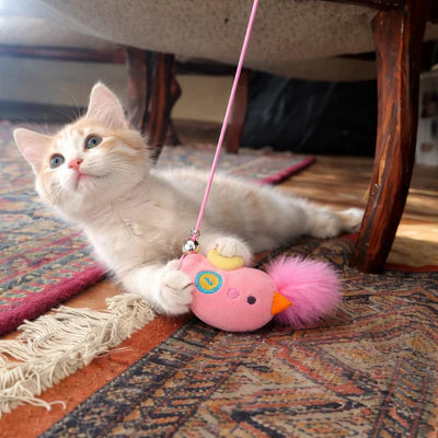 Kitten beside a pink hanging toy — illustrative play scene
