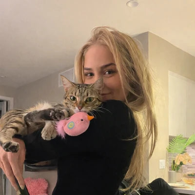 Cat parent holding a cat and a hanging toy — illustrative play scene