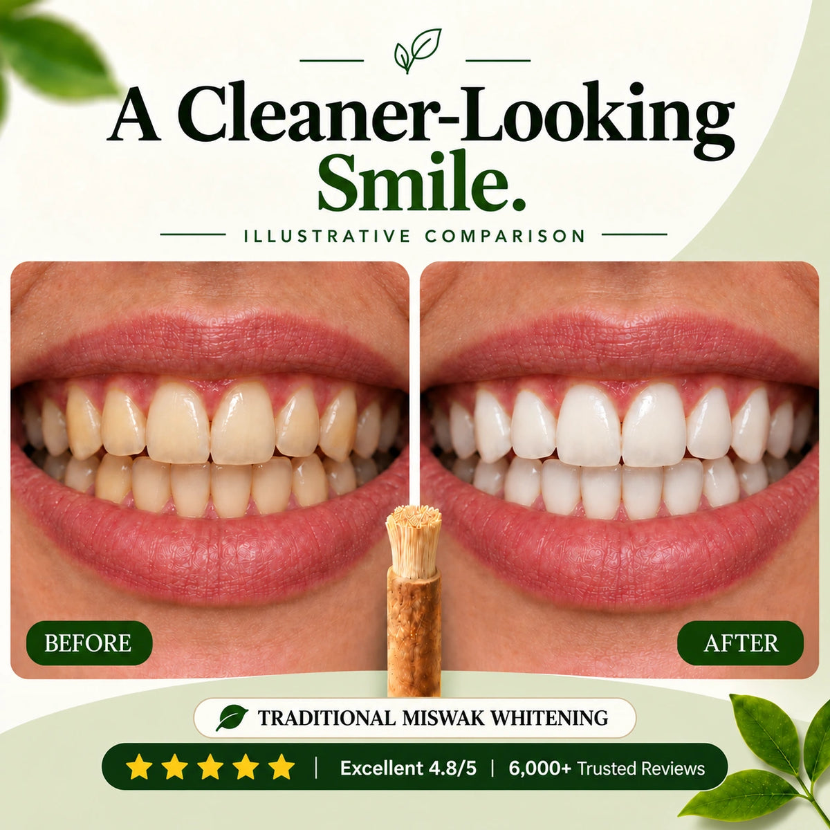 Natural Miswak Teeth-Cleaning Sticks